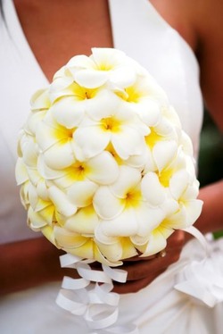 Wedding bouquet - Frangipani_20110415